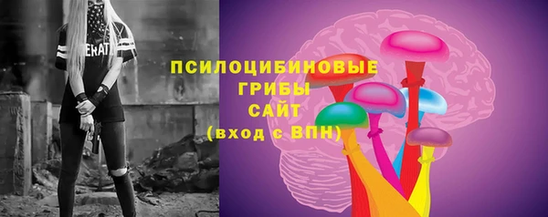 ПСИЛОЦИБИНОВЫЕ ГРИБЫ Алексин
