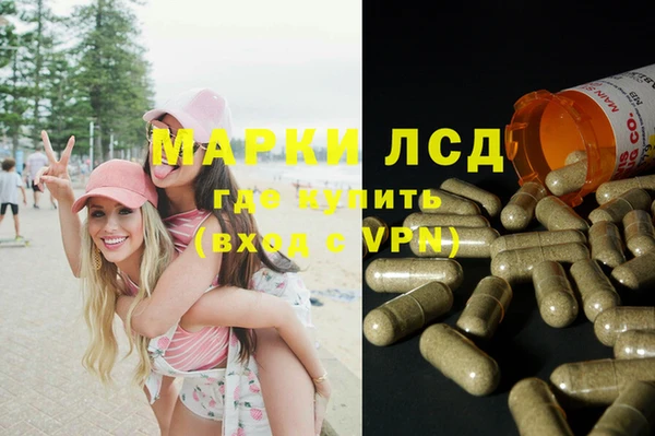 ПСИЛОЦИБИНОВЫЕ ГРИБЫ Алексин