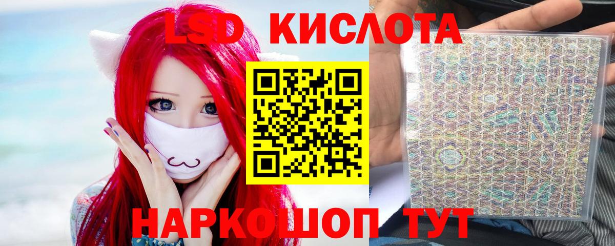 Новороссийск  blacksprut tor  ЛСД экстази  ЛСД экстази ecstasy  Вход с VPN  LSD-25 экстази ecstasy 