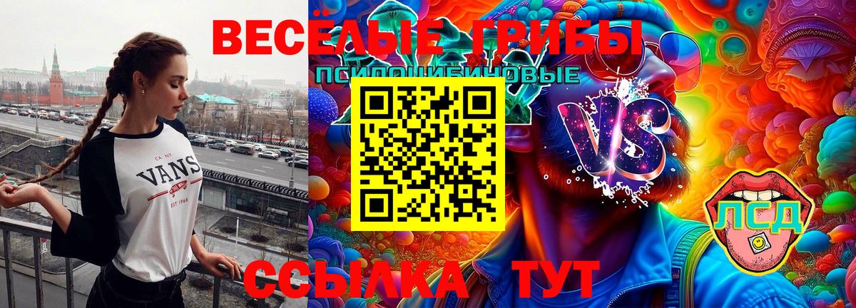 Новороссийск  купить   Вход с VPN  Псилоцибиновые грибы GOLDEN TEACHER 
