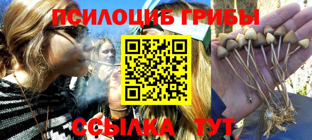 Галлюциногенные грибы мицелий Новороссийск
