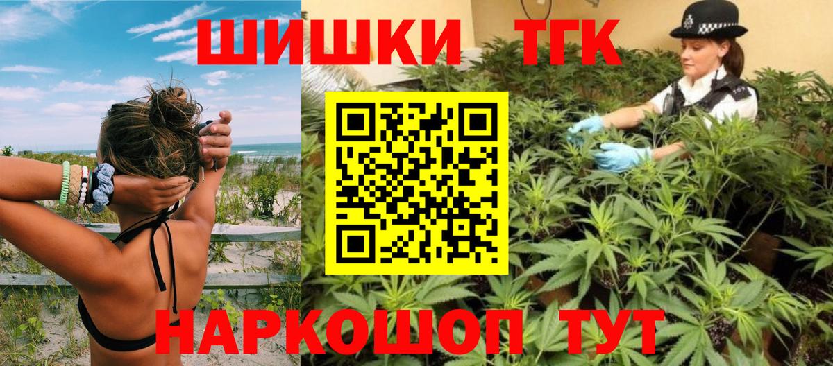 Каннабис конопля Новороссийск